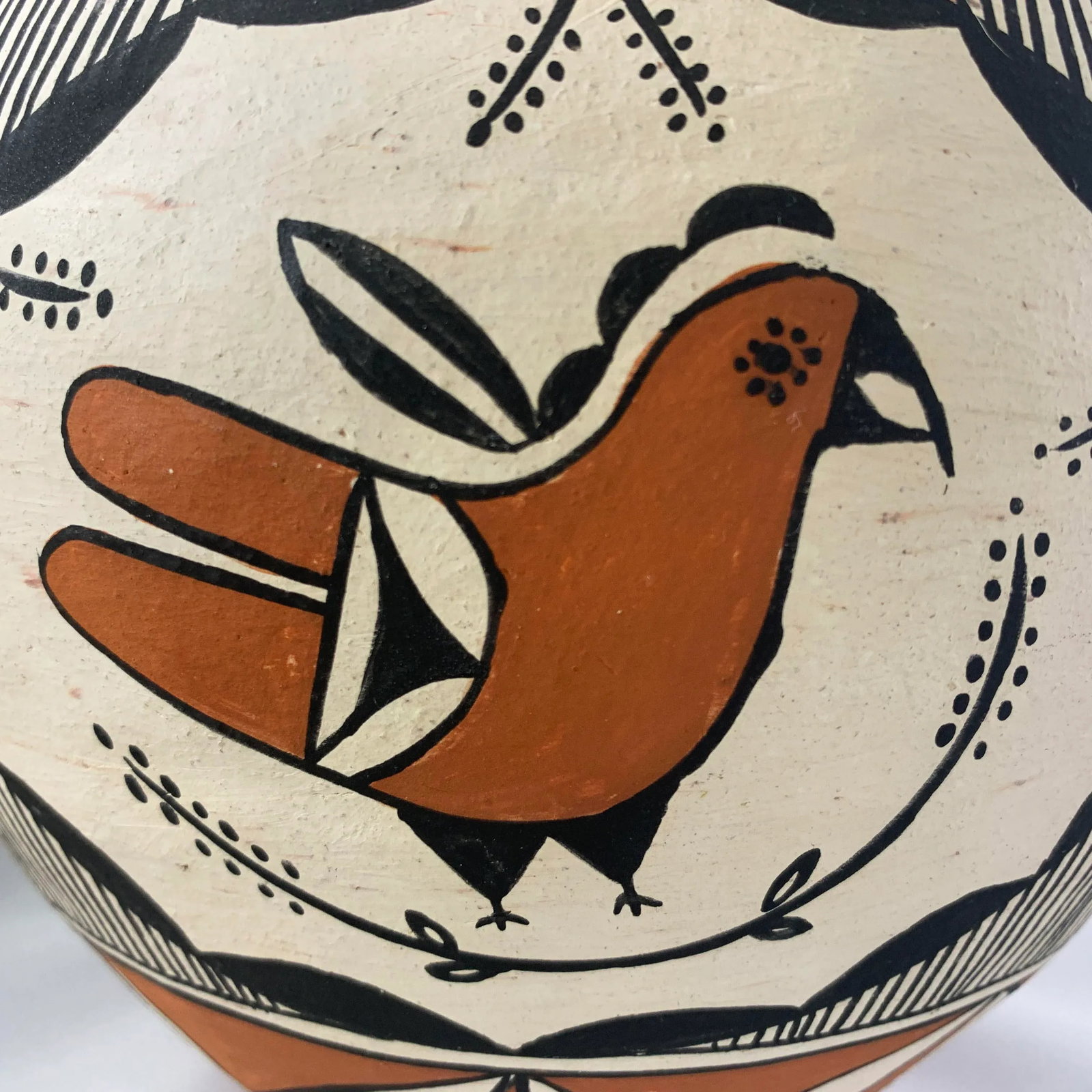 Southwestern Acoma Pueblo Polychrome Olla Parrot Signed Jar - 6