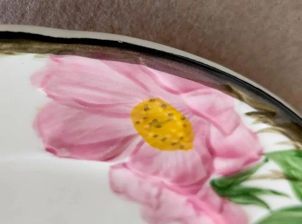 Mid 20th Century Franciscan Desert Rose Dinnerware - 44 Pieces - 8