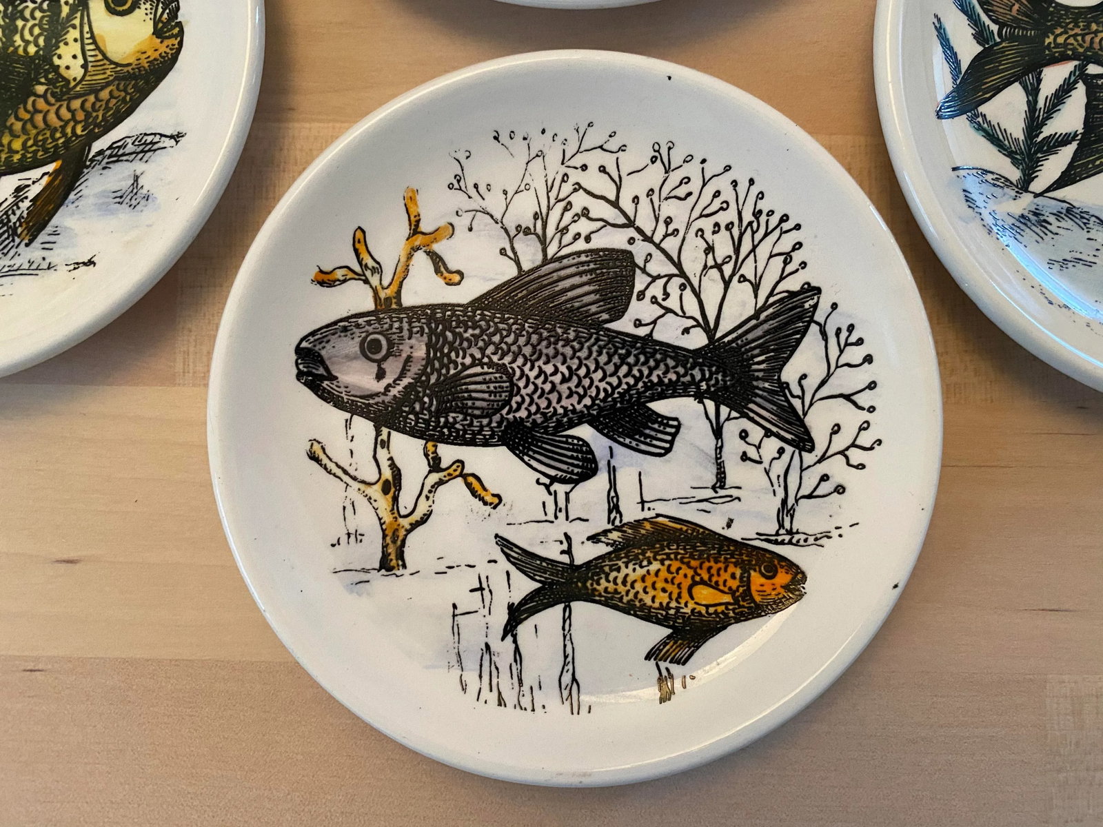 1950s Mid-Century Fish Coasters by Bucciarelli of Milano, Italy - Set of 7 - 3