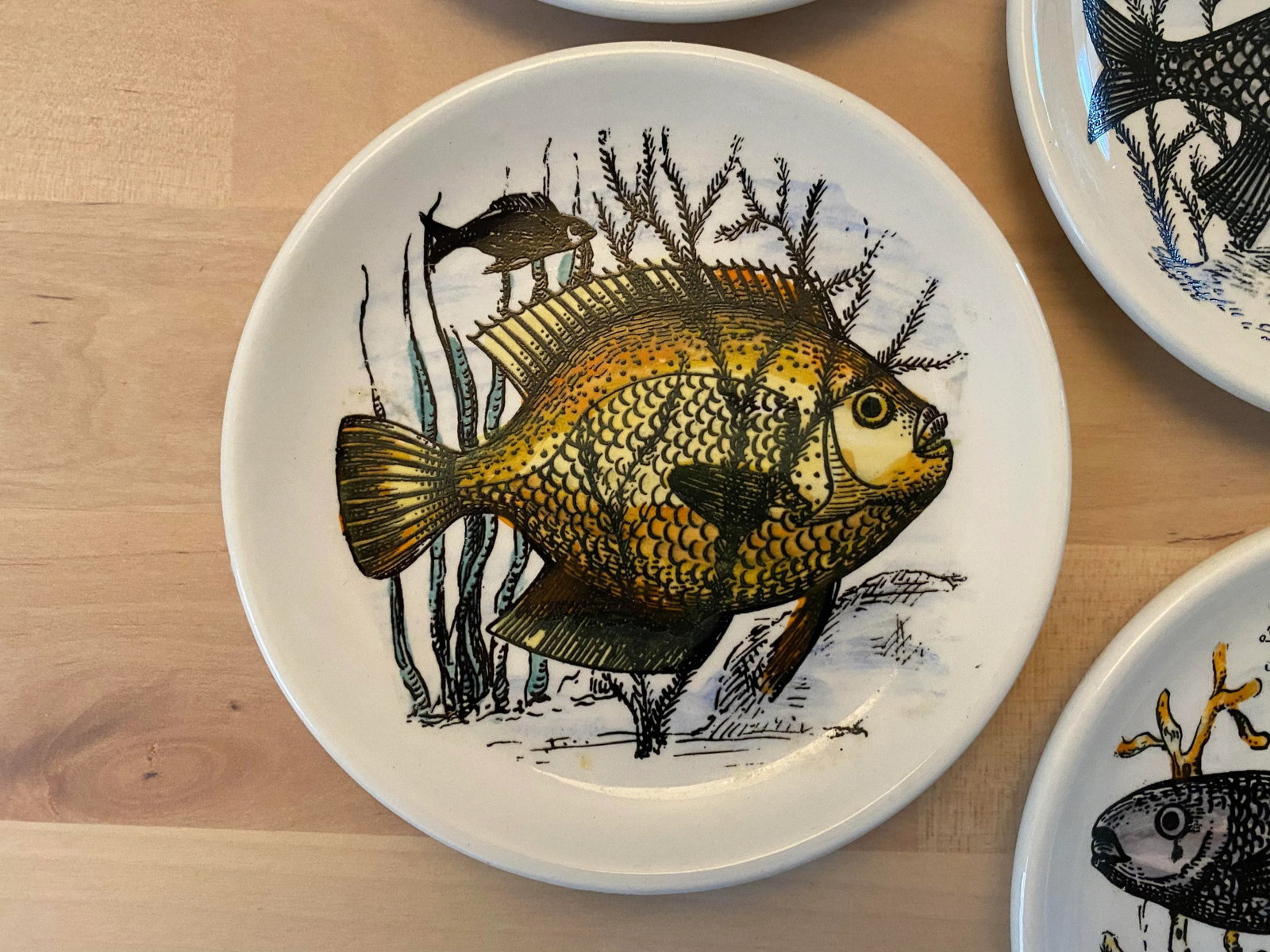 1950s Mid-Century Fish Coasters by Bucciarelli of Milano, Italy - Set of 7 - 4