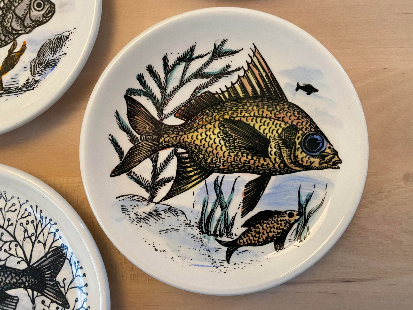 1950s Mid-Century Fish Coasters by Bucciarelli of Milano, Italy - Set of 7 - 5