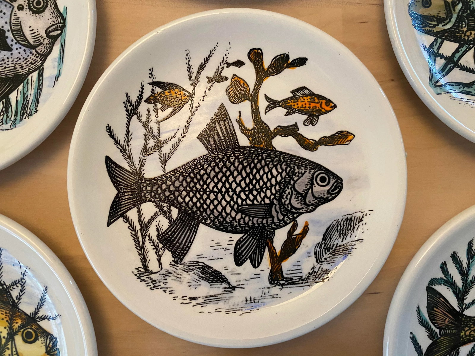 1950s Mid-Century Fish Coasters by Bucciarelli of Milano, Italy - Set of 7 - 6