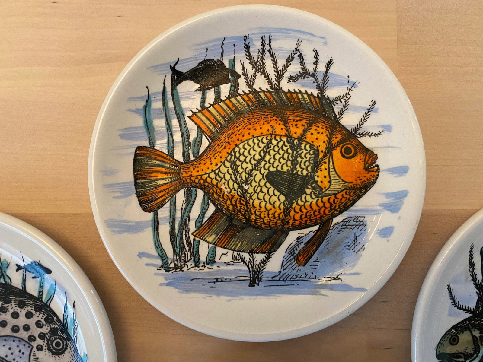 1950s Mid-Century Fish Coasters by Bucciarelli of Milano, Italy - Set of 7 - 8