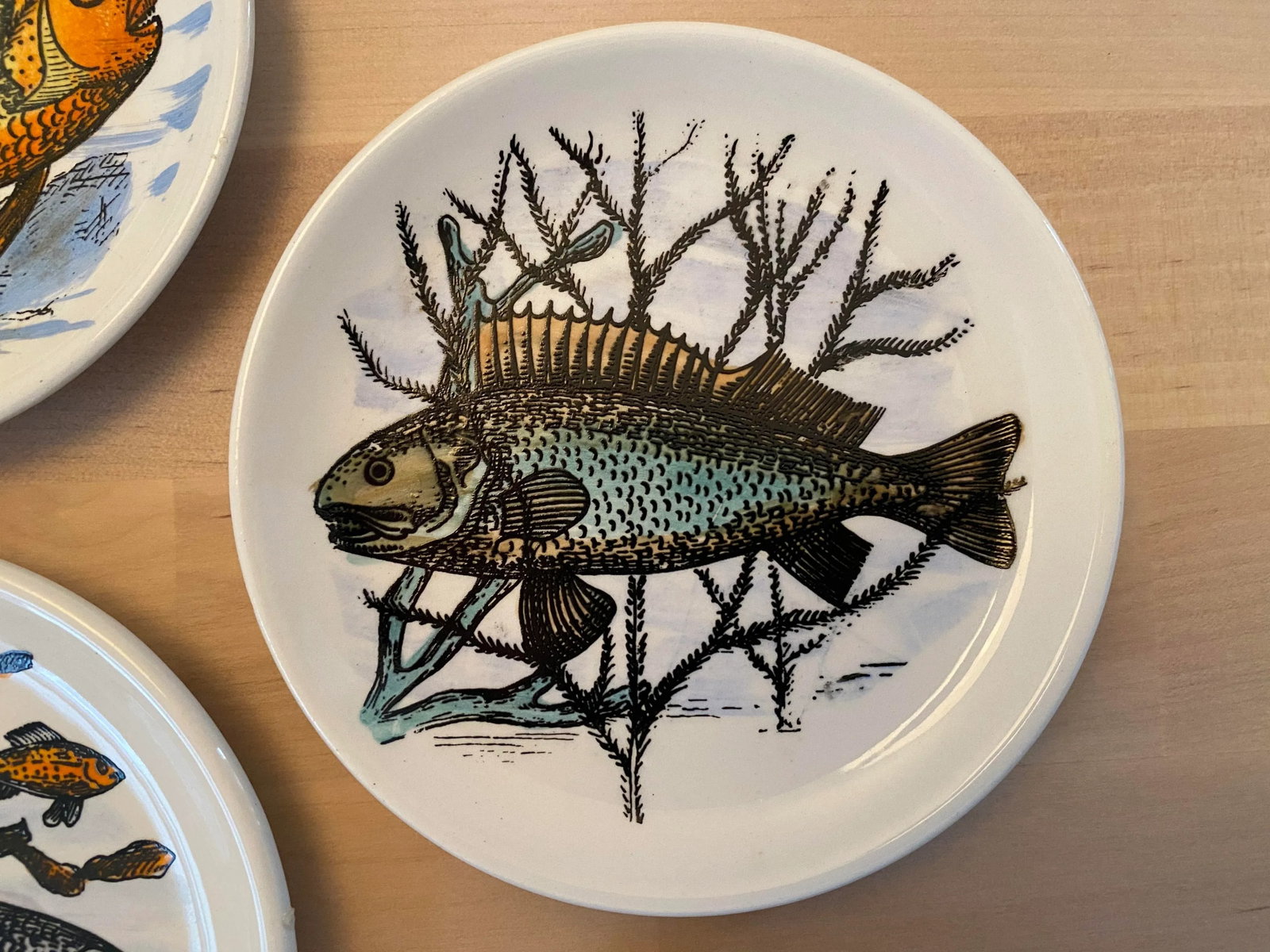 1950s Mid-Century Fish Coasters by Bucciarelli of Milano, Italy - Set of 7 - 9