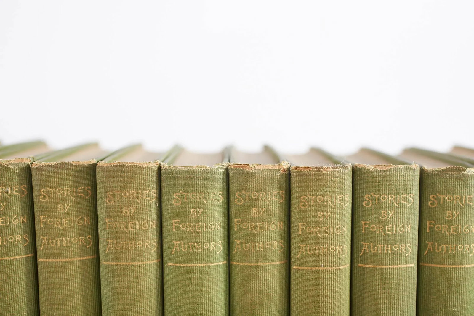 Collection Gilt Leather Bound Books - Set of 10 - 2