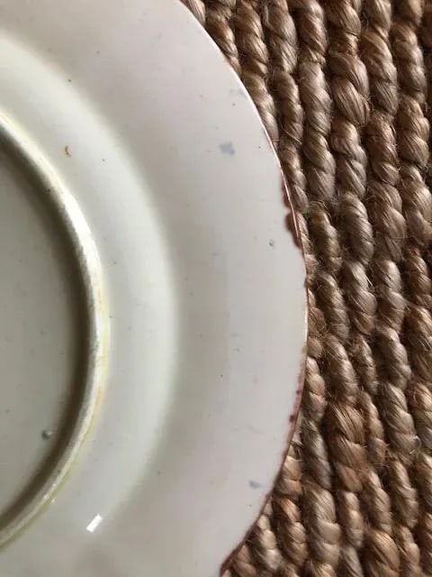 Antique English Wedgewood Majolica Plate - 9
