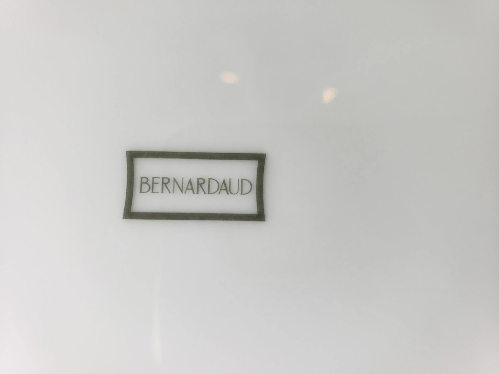 Bernaud Limoges Dinner Plates - Set of 12 - 5