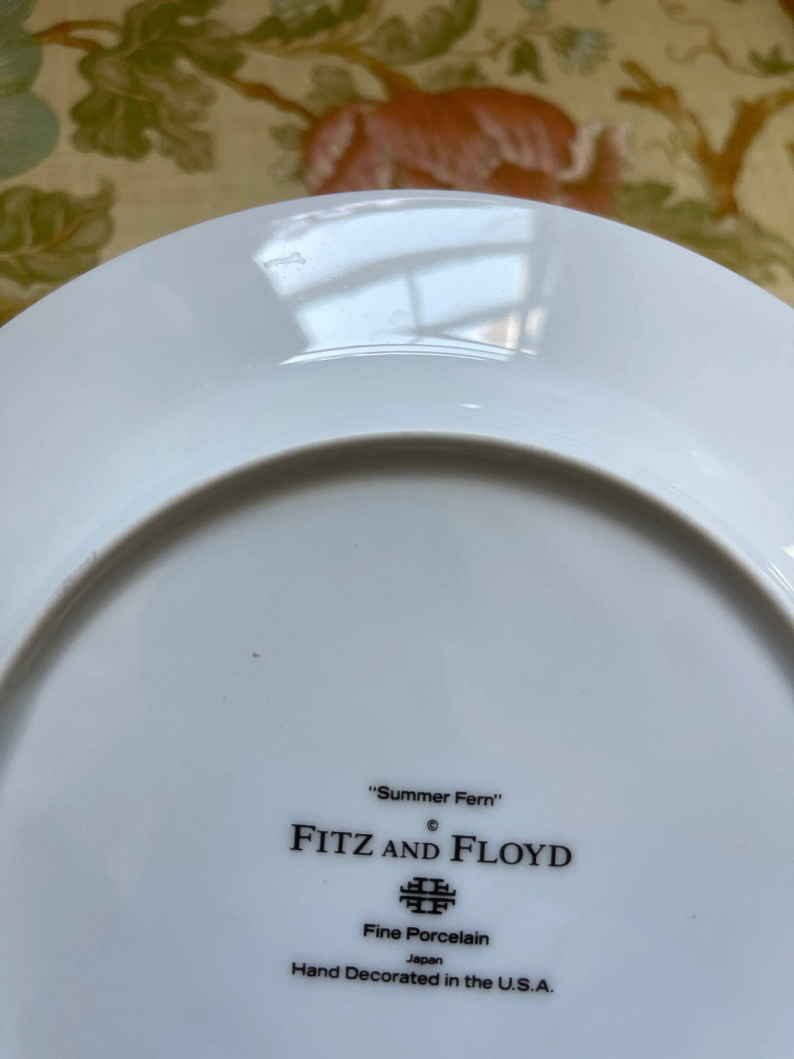 1990s Fitz & Floyd Summer Fern Plates - Set of 8 - 5