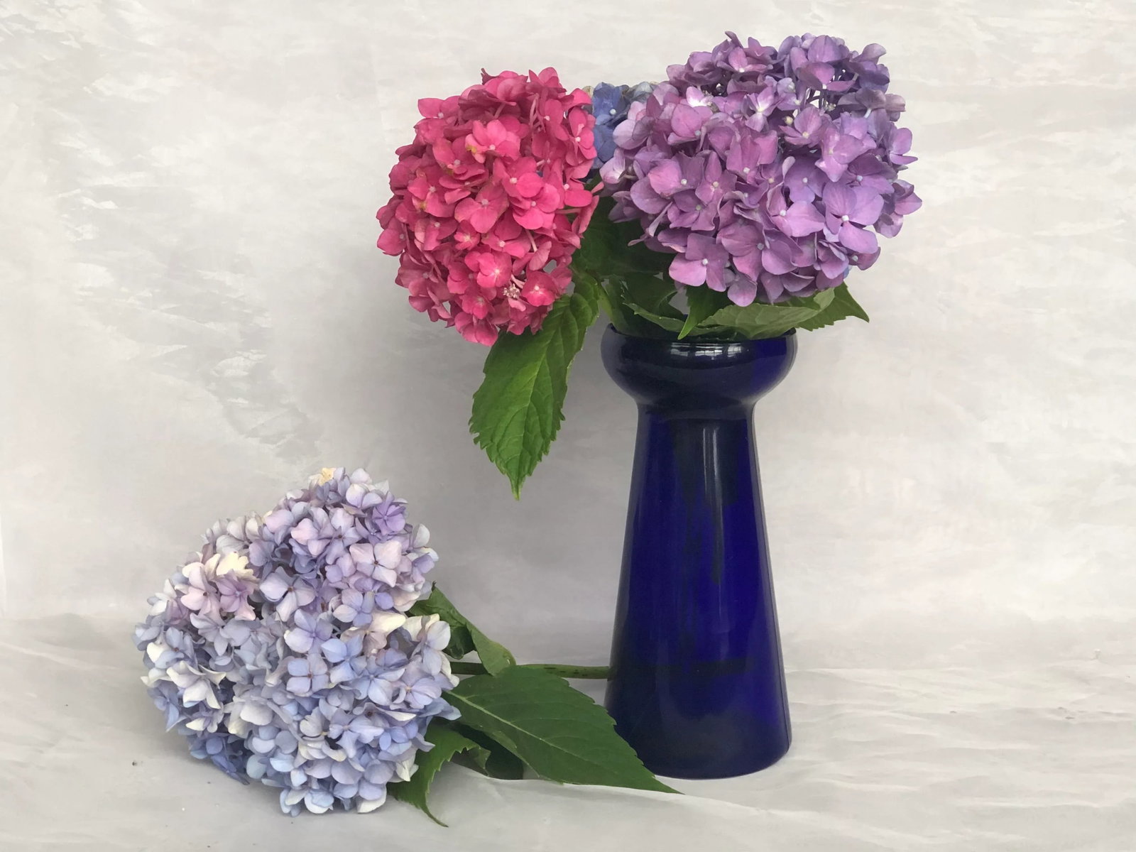 Cobalt Blue Glass Hyacinth Vase - 11