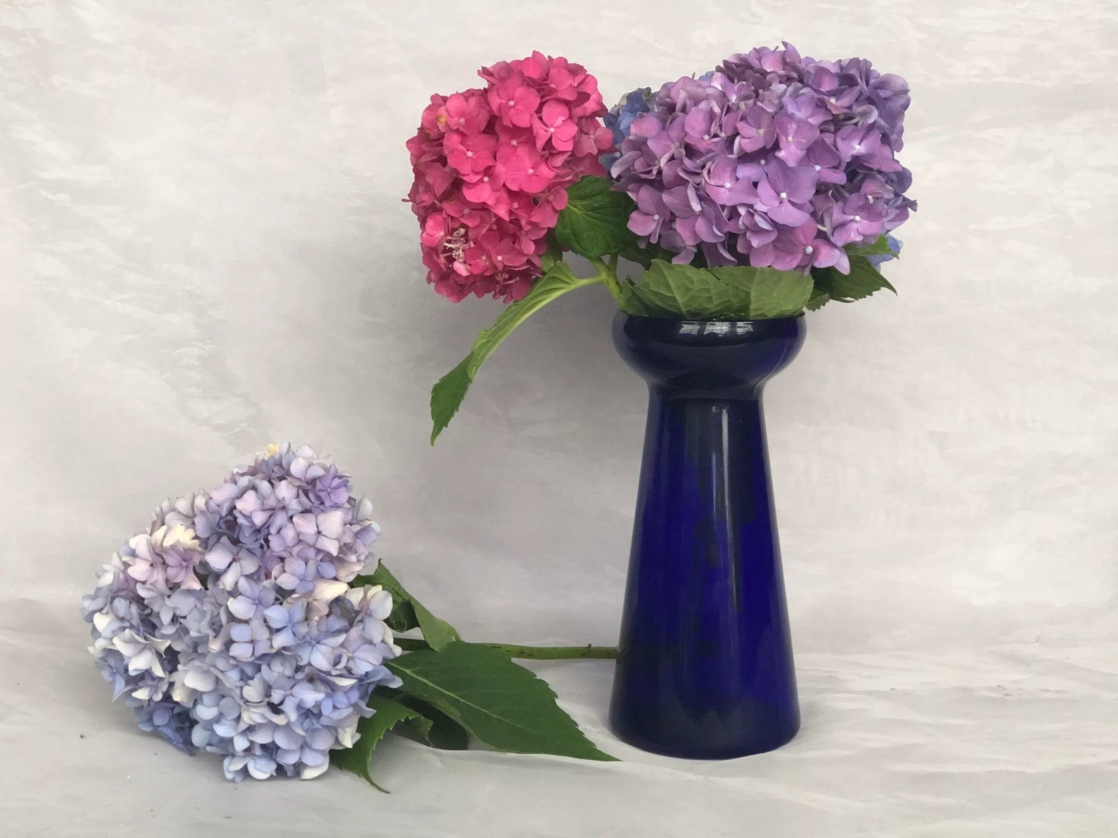 Cobalt Blue Glass Hyacinth Vase - 2
