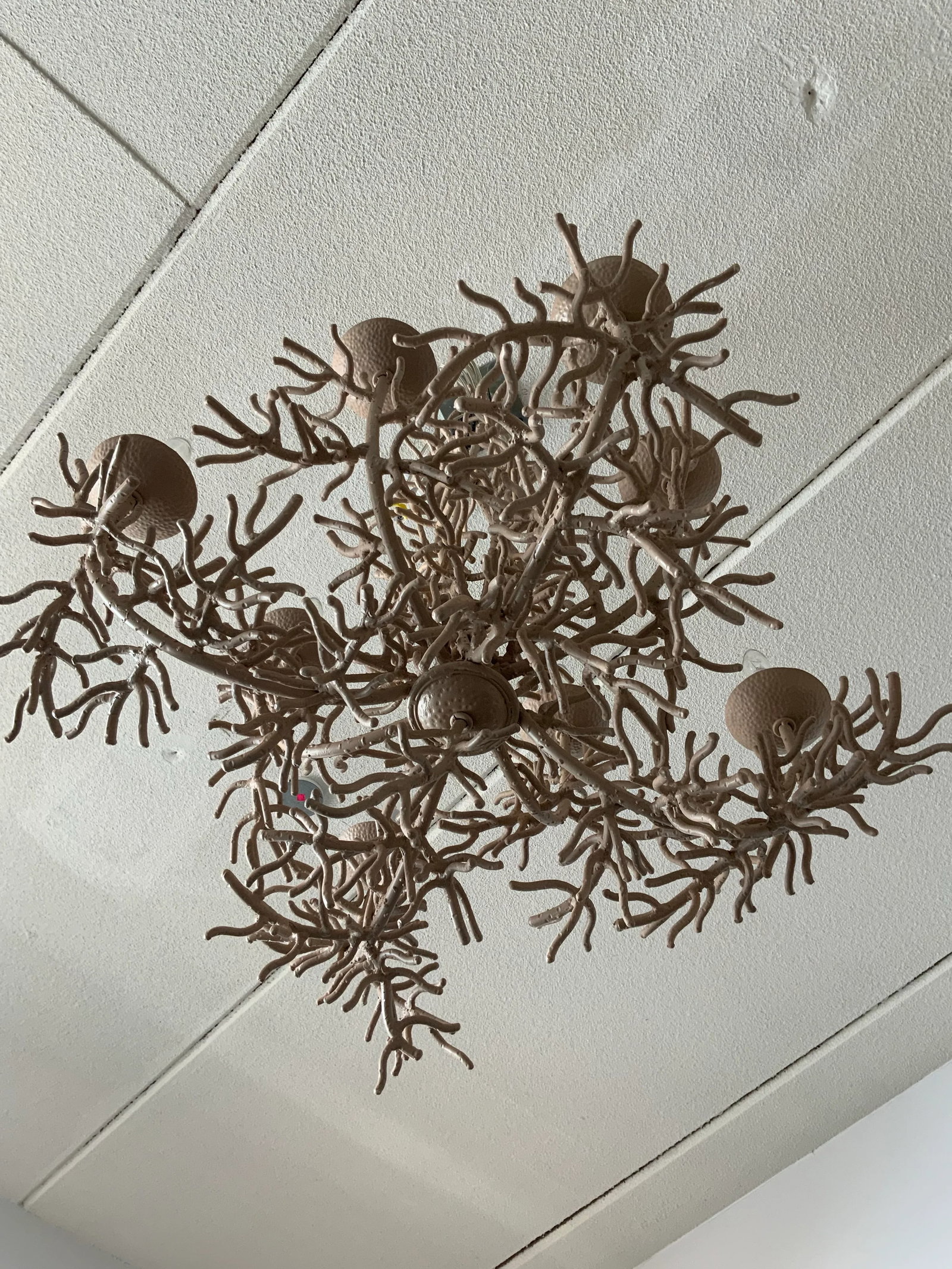 Chelsea House Iron Coral Chandelier - 3