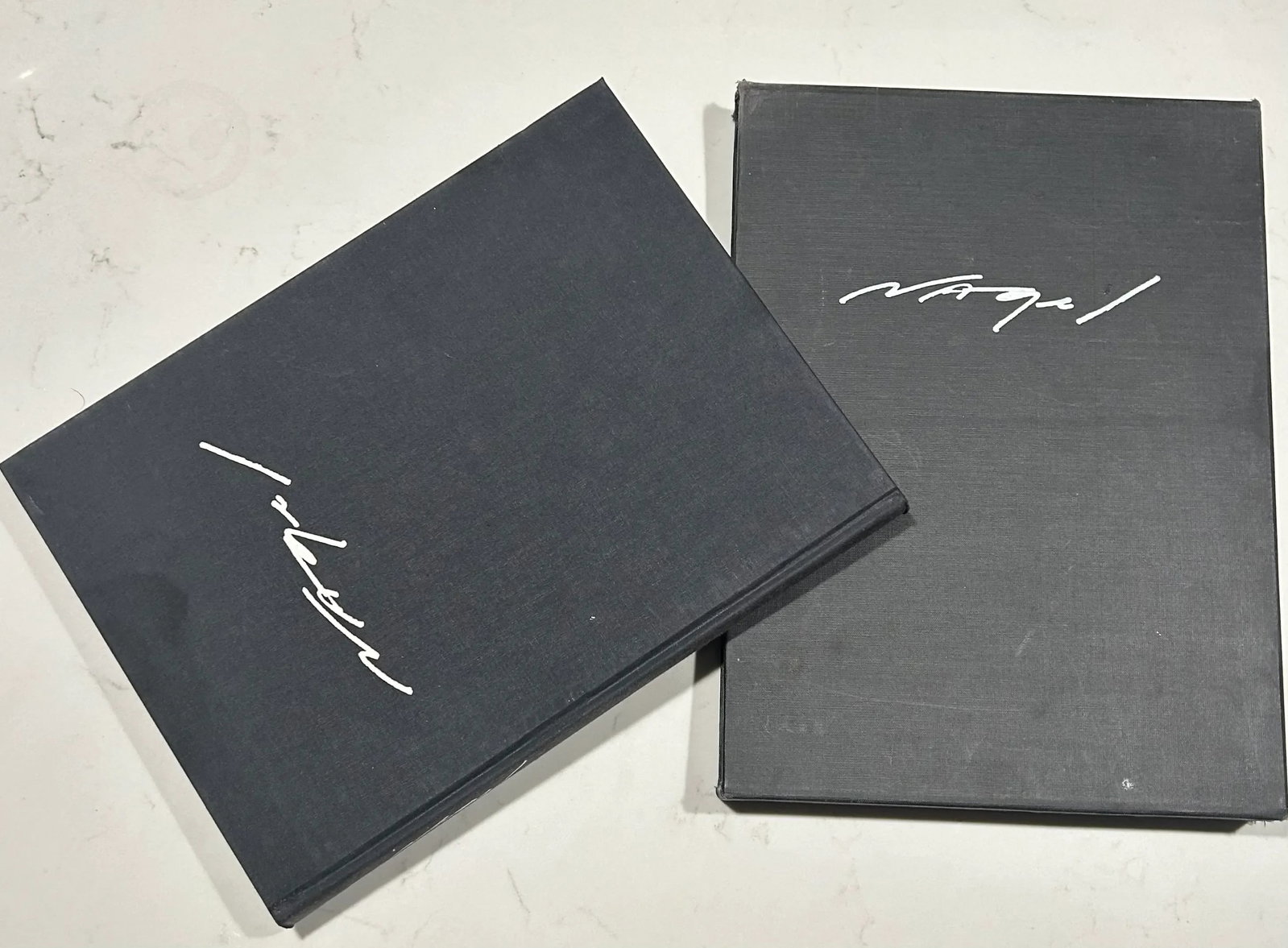 Nagel: The Art of Patrick Nagel, Deluxe First Edition - 2