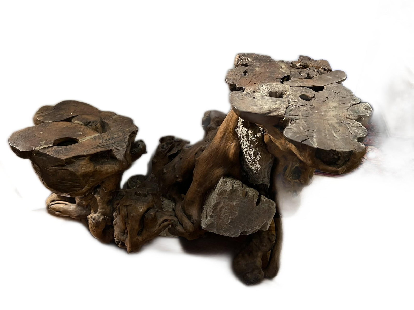 Large Root Plant Stand With Embedded Rocks - 4