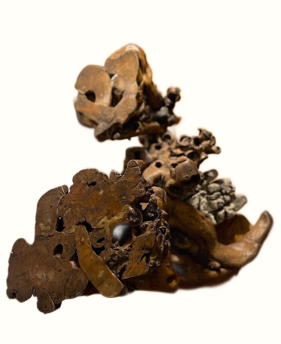 Large Root Plant Stand With Embedded Rocks - 5
