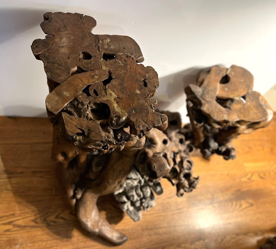 Large Root Plant Stand With Embedded Rocks - 9