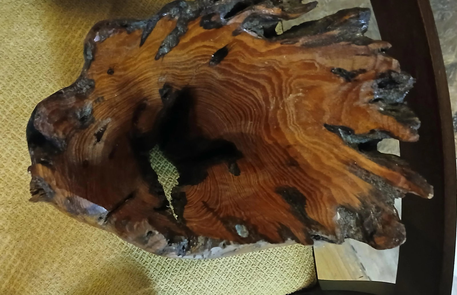 Cypress Wood Handmade Freeform Bowl - 4