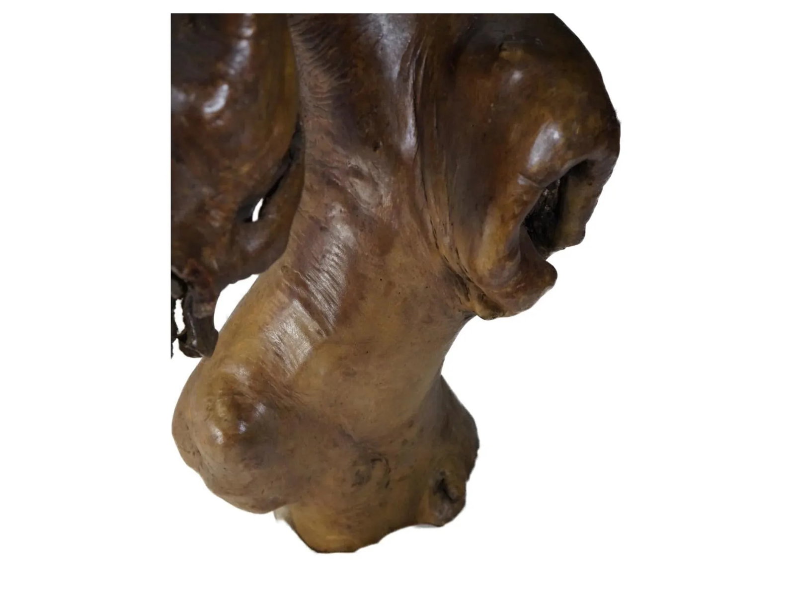 Late 20th Century Natural Tree Root Sculpture From Southwest China - 10