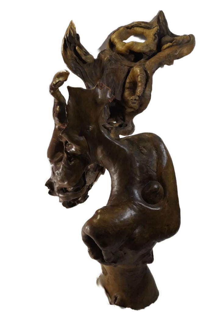 Late 20th Century Natural Tree Root Sculpture From Southwest China - 11