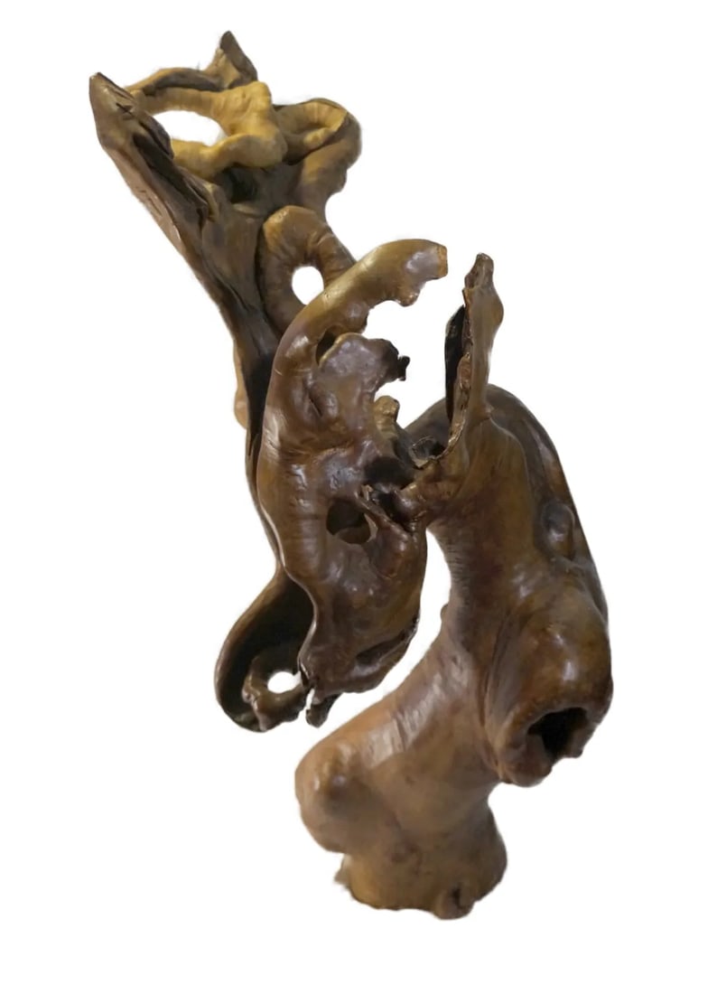 Late 20th Century Natural Tree Root Sculpture From Southwest China - 2