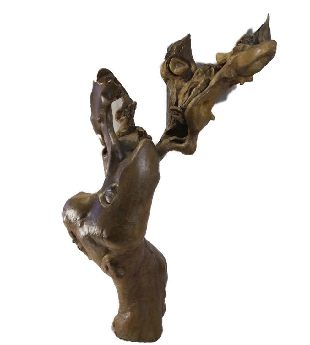 Late 20th Century Natural Tree Root Sculpture From Southwest China - 3