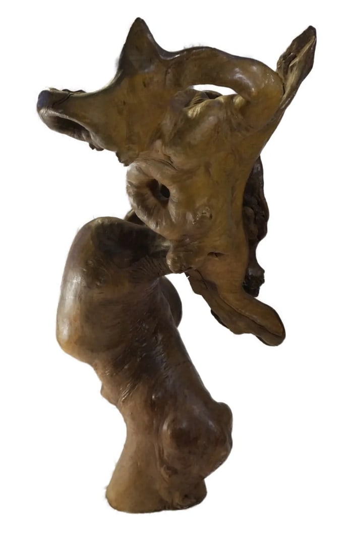 Late 20th Century Natural Tree Root Sculpture From Southwest China - 4