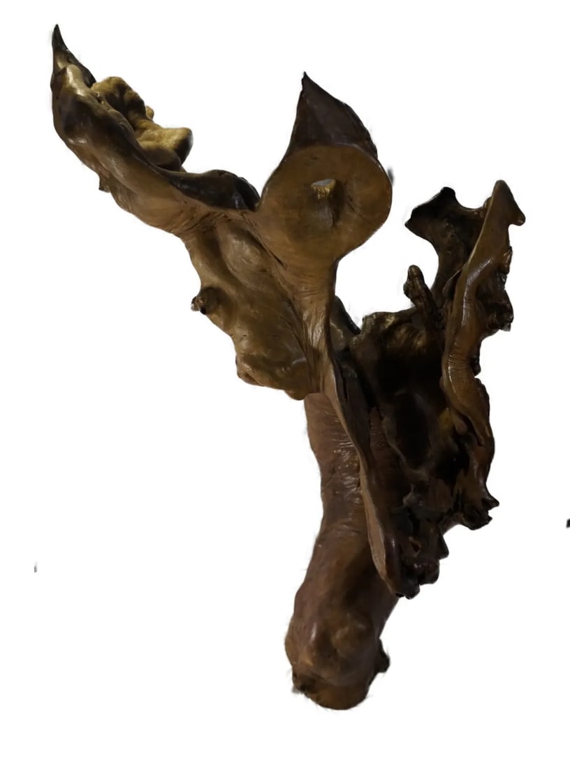 Late 20th Century Natural Tree Root Sculpture From Southwest China - 5