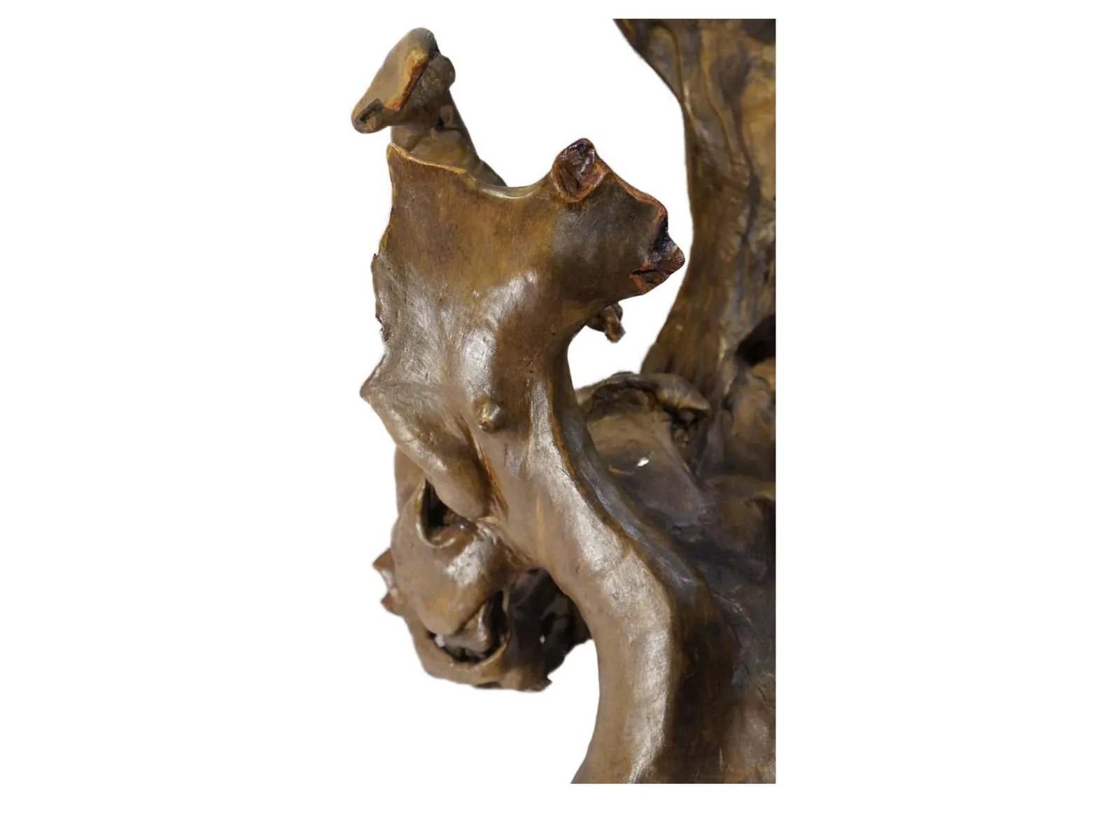 Late 20th Century Natural Tree Root Sculpture From Southwest China - 6