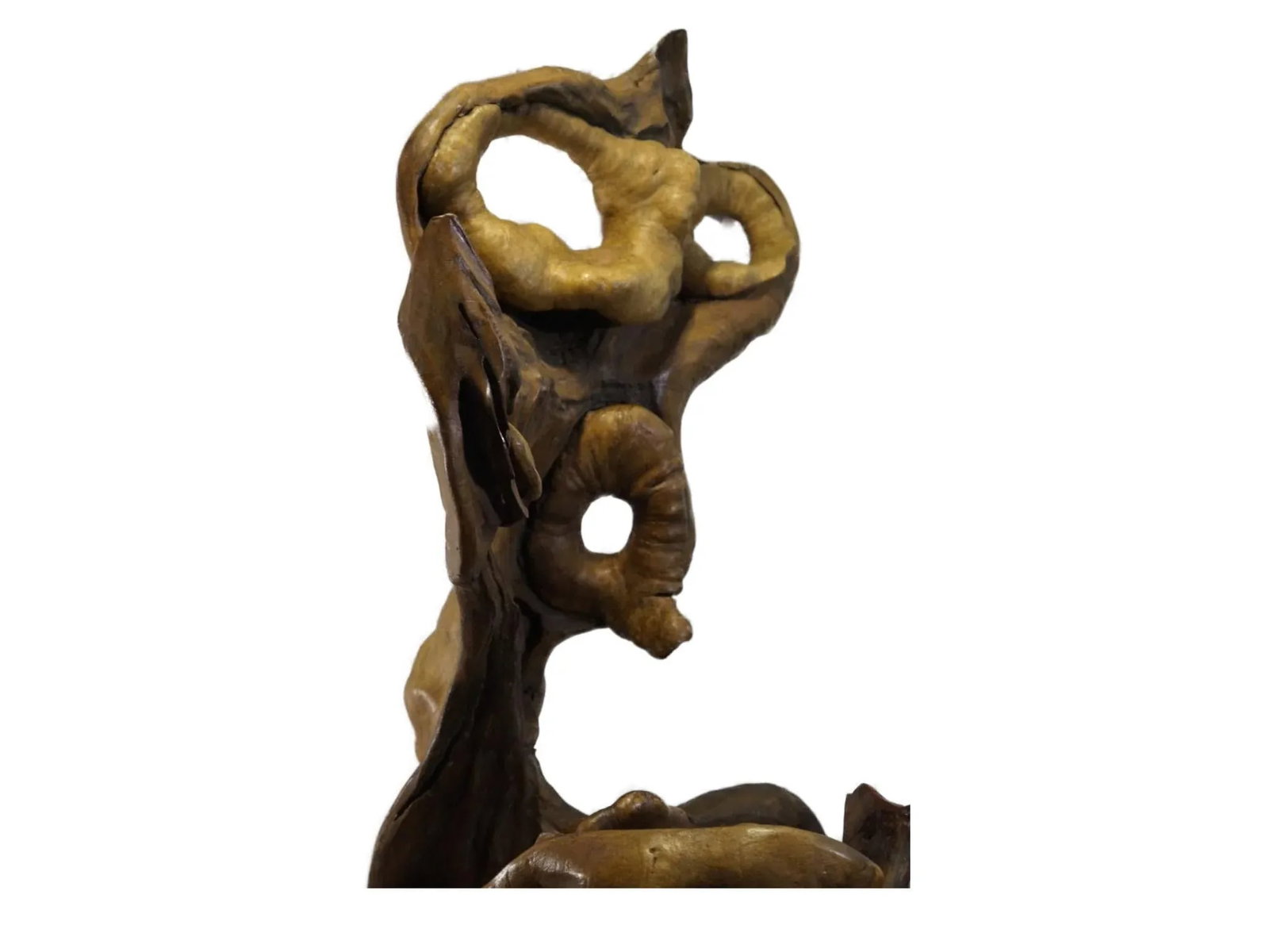 Late 20th Century Natural Tree Root Sculpture From Southwest China - 7