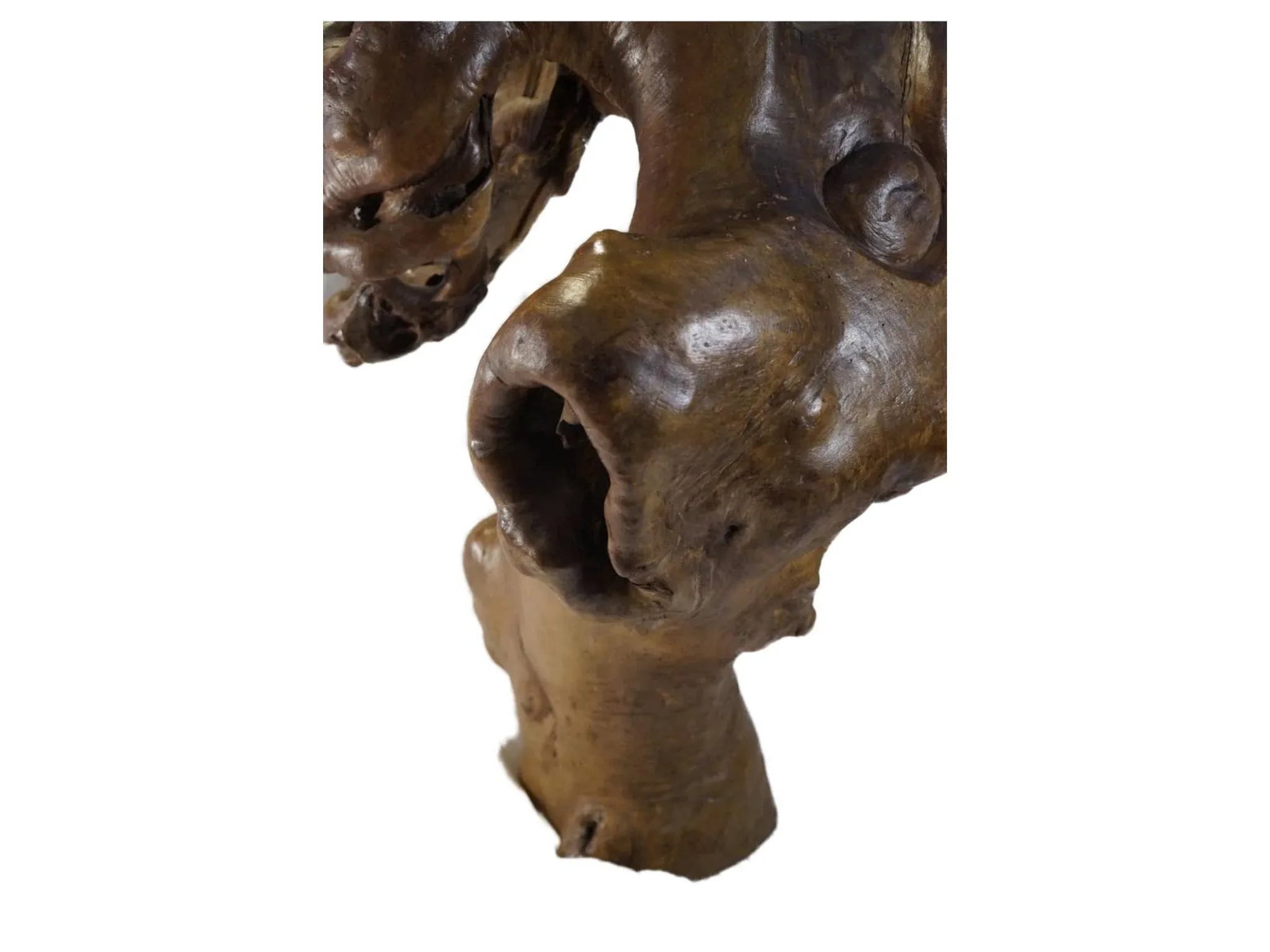 Late 20th Century Natural Tree Root Sculpture From Southwest China - 8