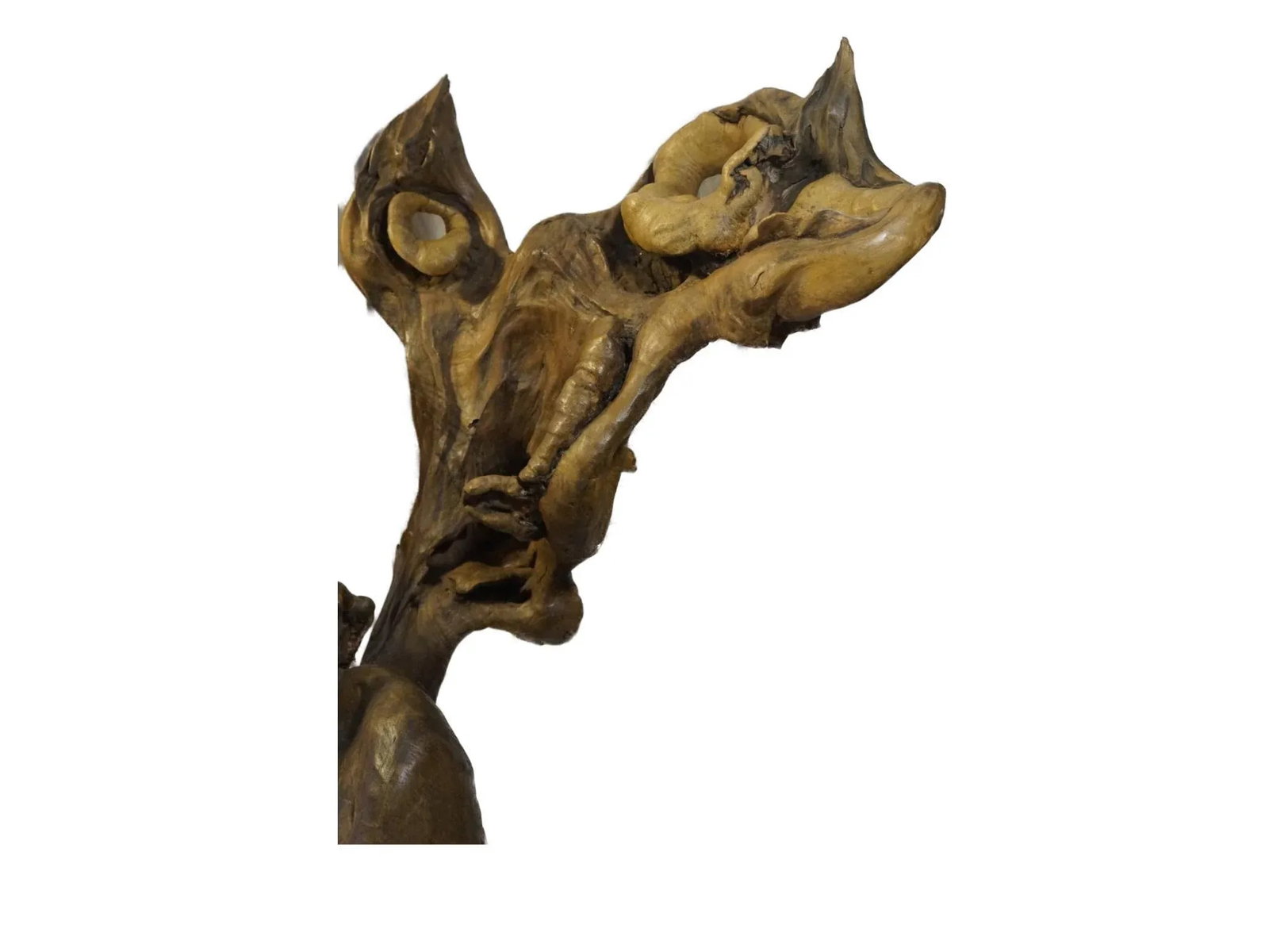 Late 20th Century Natural Tree Root Sculpture From Southwest China - 9