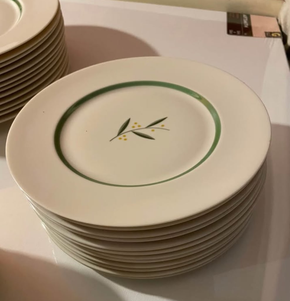 Rare Set of 1940s Franciscan China in Westwood Pattern - 6