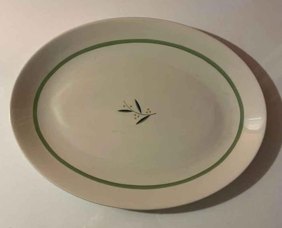 Rare Set of 1940s Franciscan China in Westwood Pattern - 7