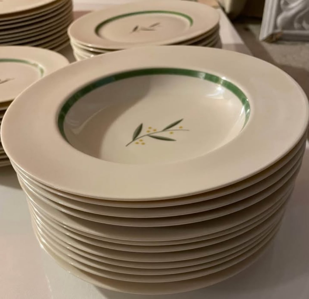 Rare Set of 1940s Franciscan China in Westwood Pattern - 8