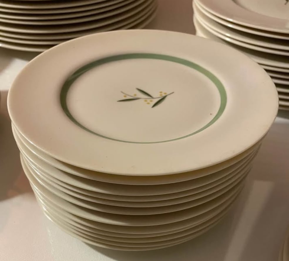 Rare Set of 1940s Franciscan China in Westwood Pattern - 9