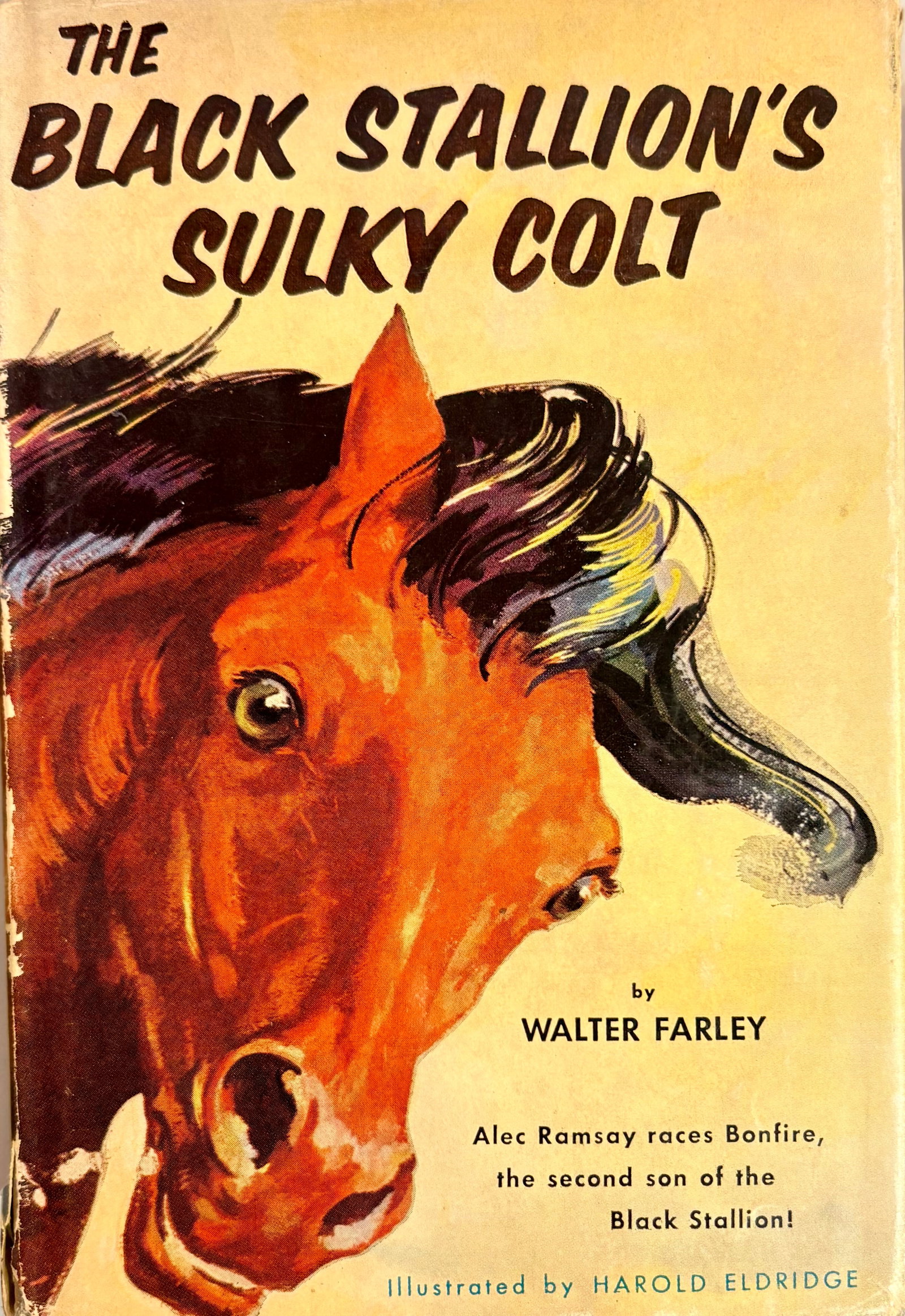 1950s Set of Four Rare First Edition Books From the Black Stallion Series by Walter Farley - 10