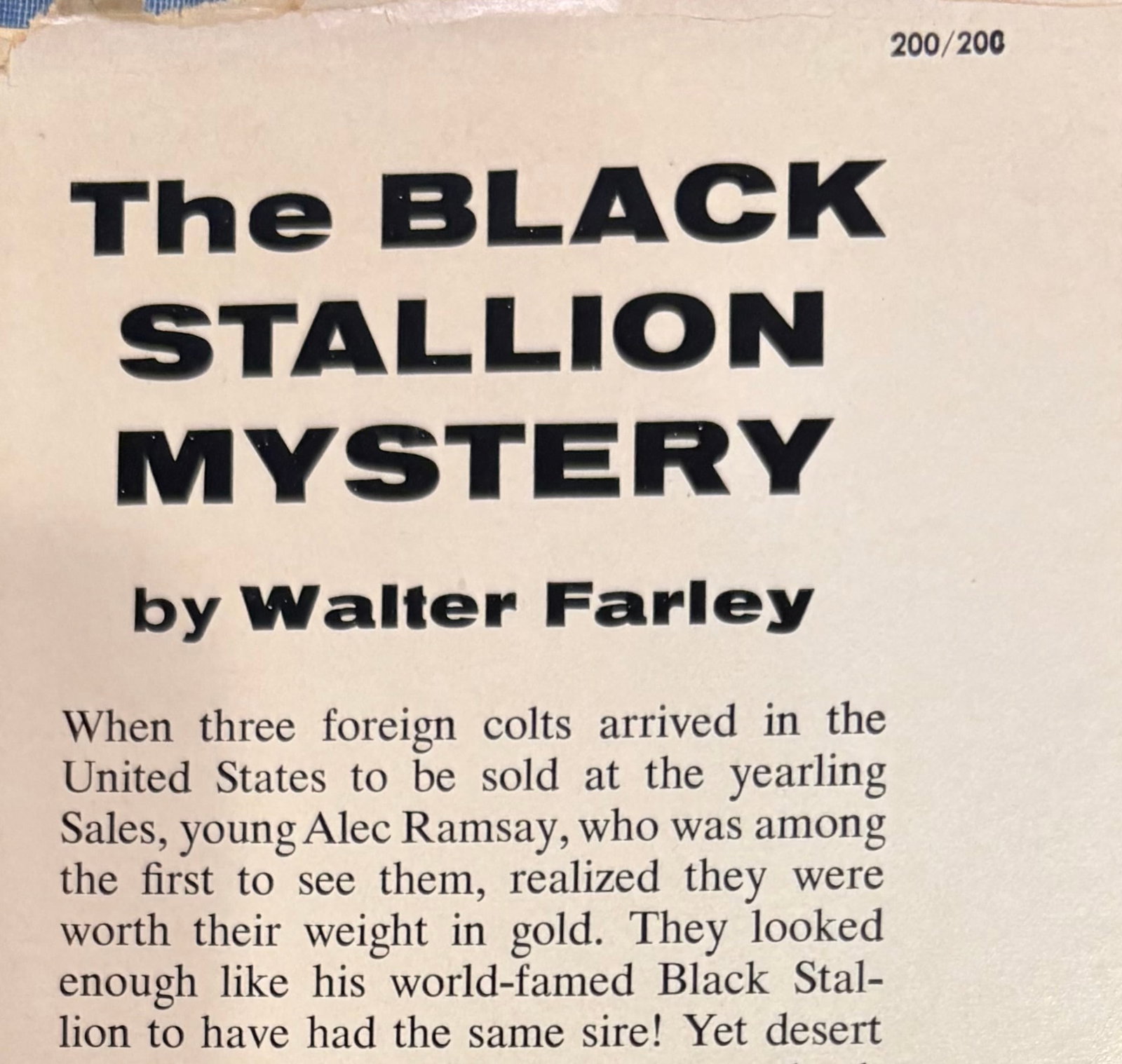 1950s Set of Four Rare First Edition Books From the Black Stallion Series by Walter Farley - 14