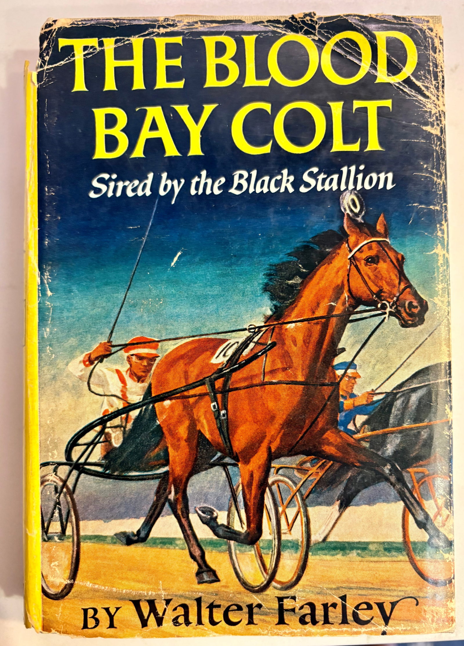 1950s Set of Four Rare First Edition Books From the Black Stallion Series by Walter Farley - 4