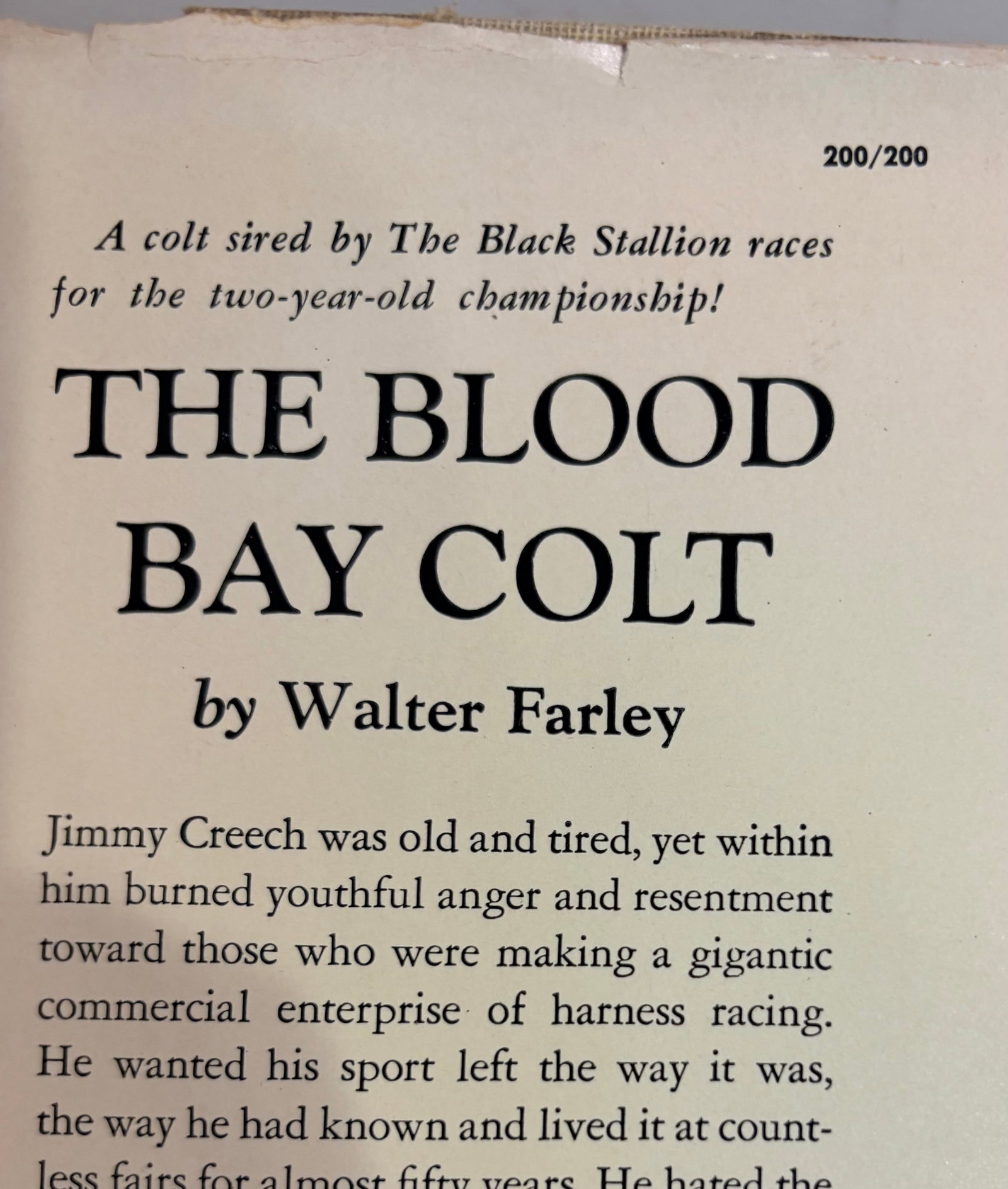 1950s Set of Four Rare First Edition Books From the Black Stallion Series by Walter Farley - 5