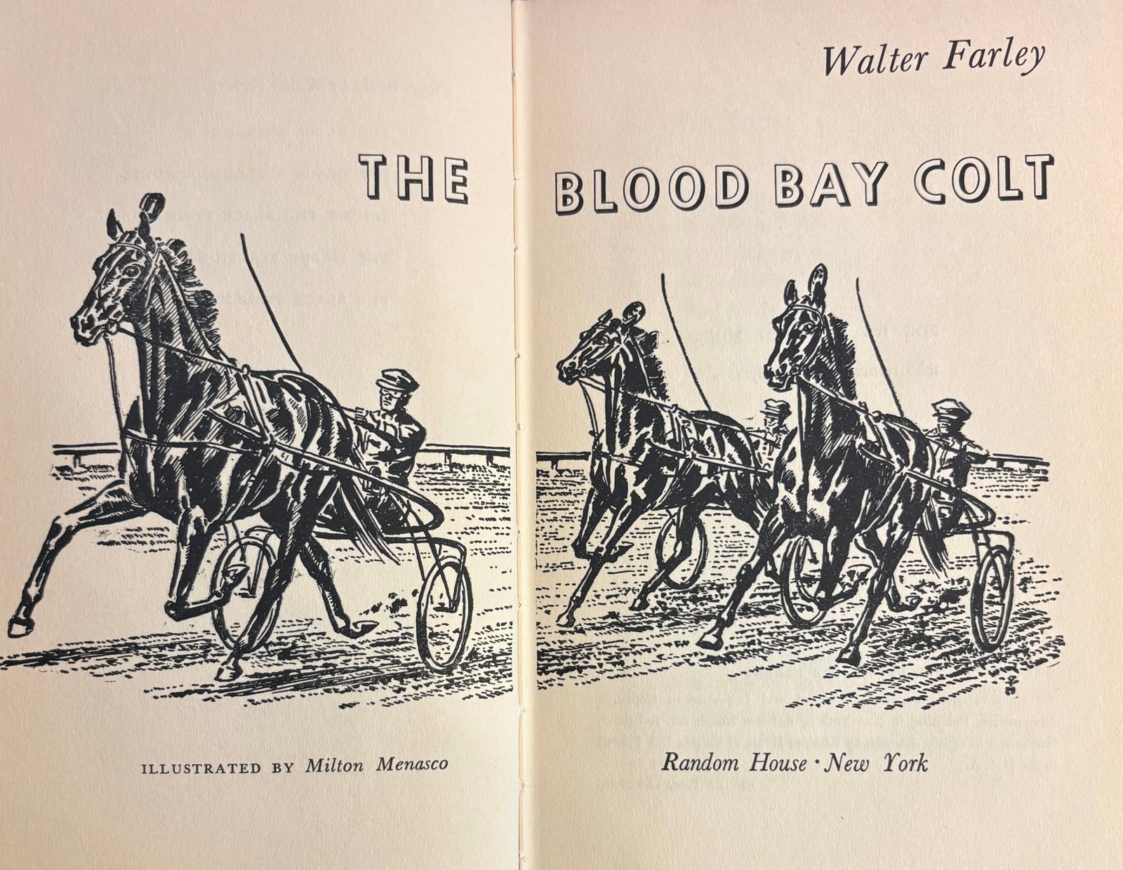 1950s Set of Four Rare First Edition Books From the Black Stallion Series by Walter Farley - 6