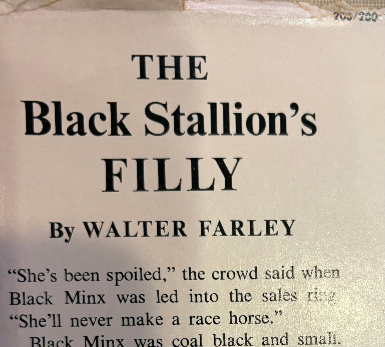 1950s Set of Four Rare First Edition Books From the Black Stallion Series by Walter Farley - 8