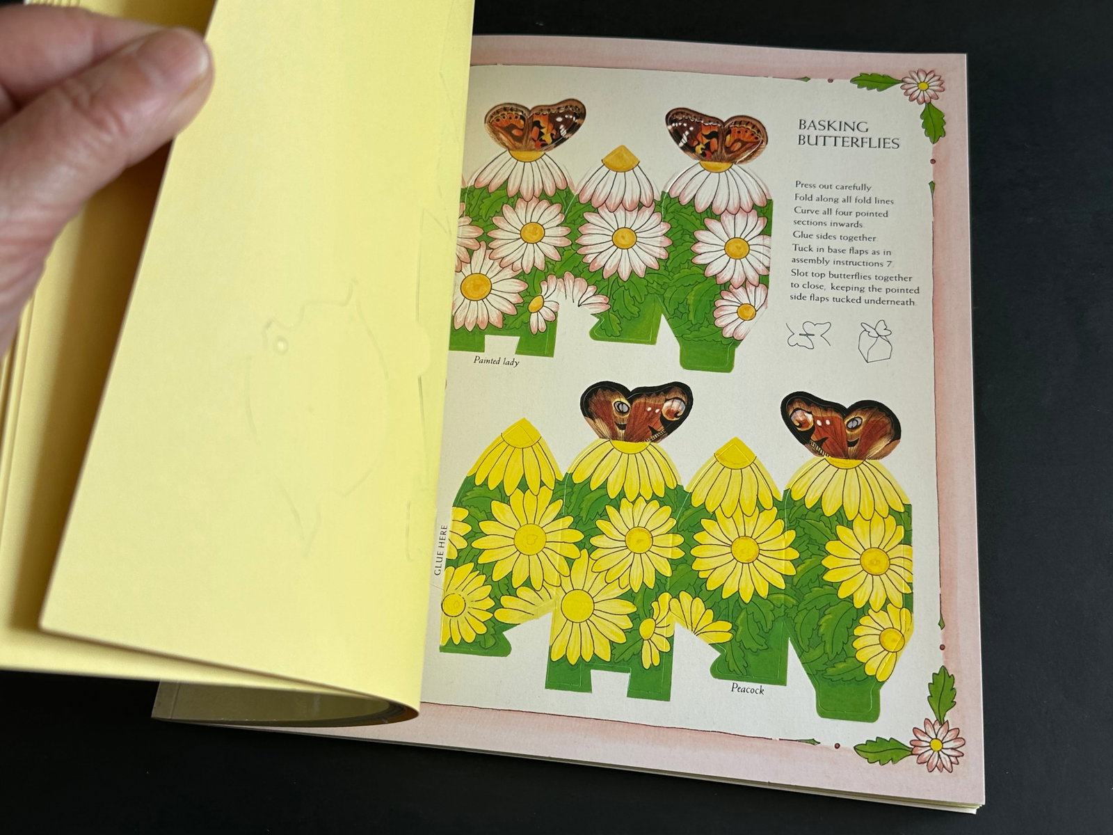 Decorative Folding Gift Boxes With Insect Designs - 11