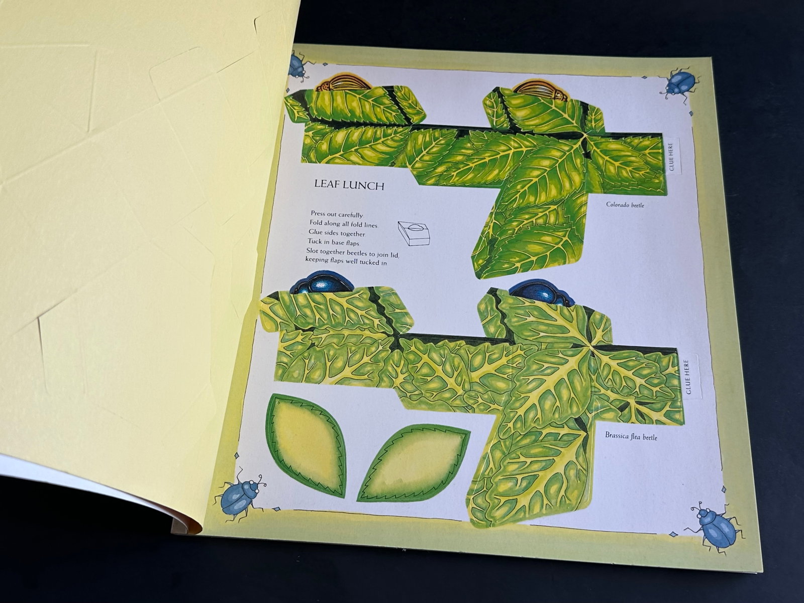 Decorative Folding Gift Boxes With Insect Designs - 4