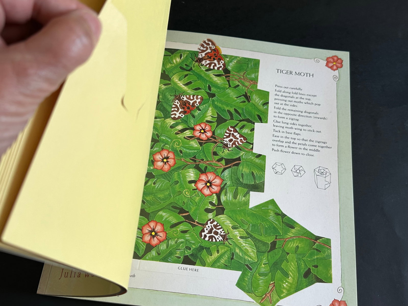 Decorative Folding Gift Boxes With Insect Designs - 9