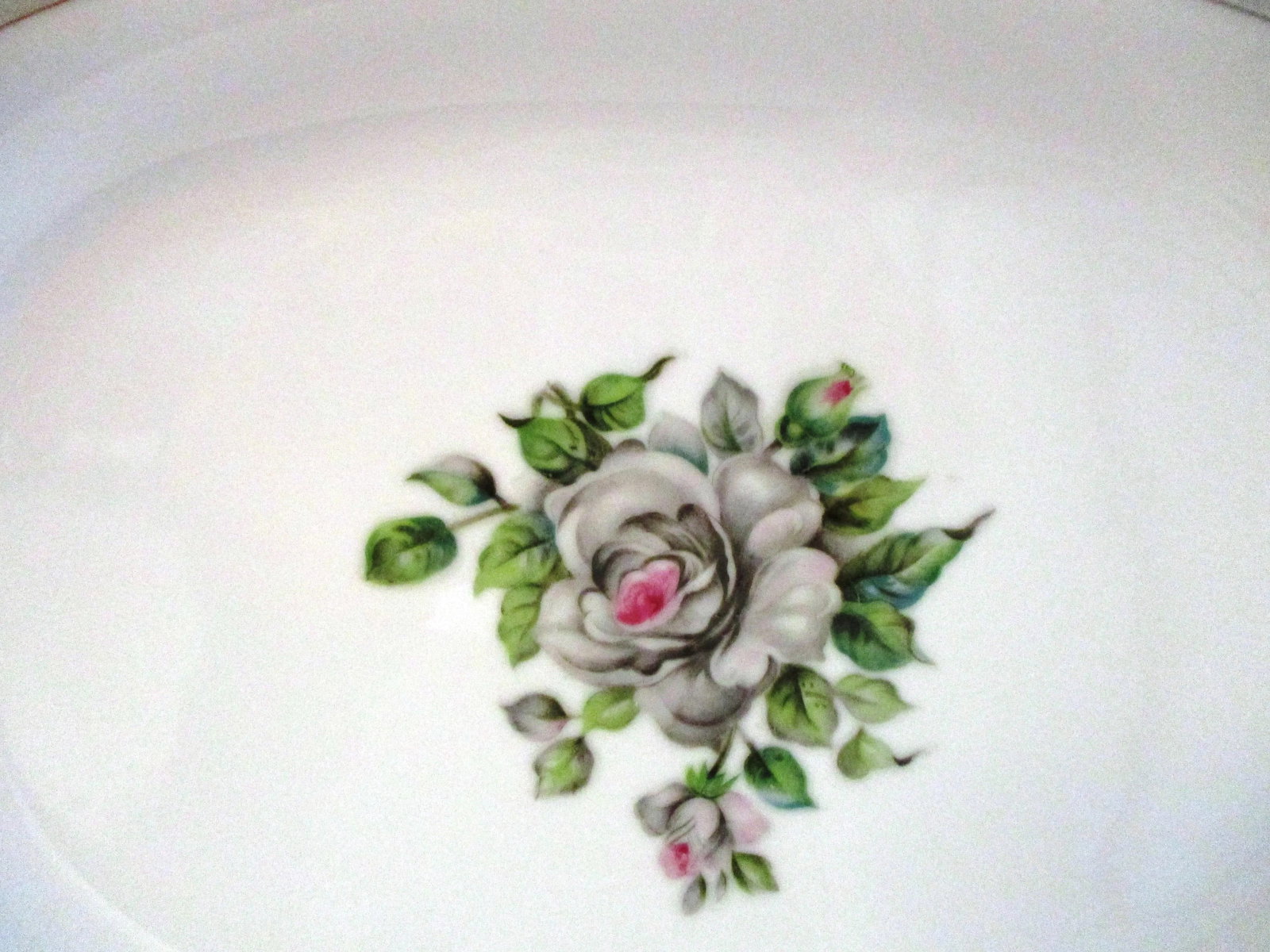 1950s Jyuto White Rose Porcelain Tea Set - 19 Pieces - 3