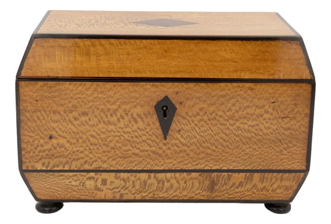 Early 19th Century Solid Lacewood Box With Campaign Handles (1 of 13)