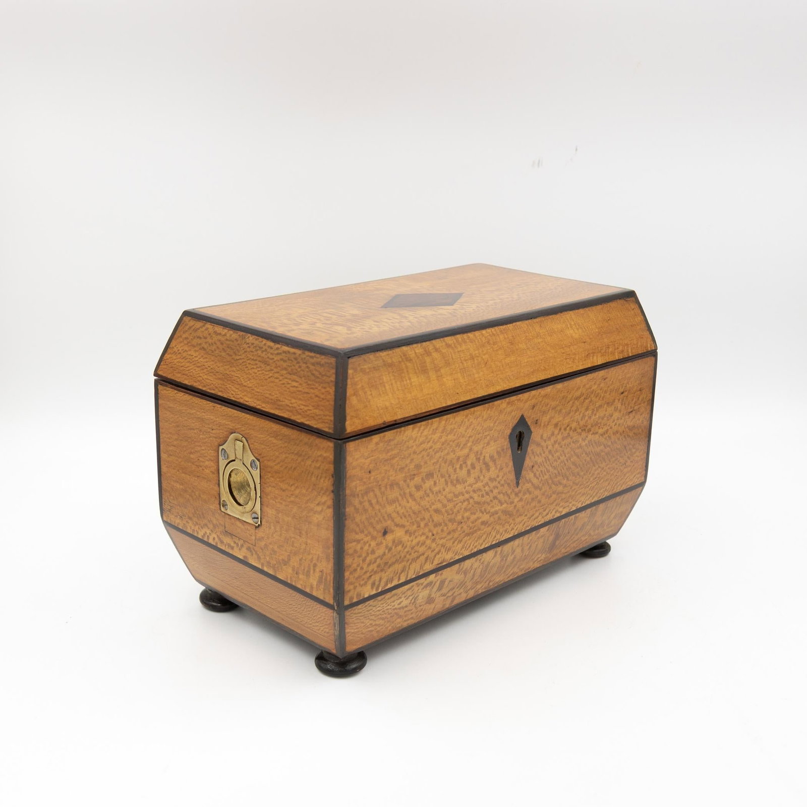 Early 19th Century Solid Lacewood Box With Campaign Handles - 6