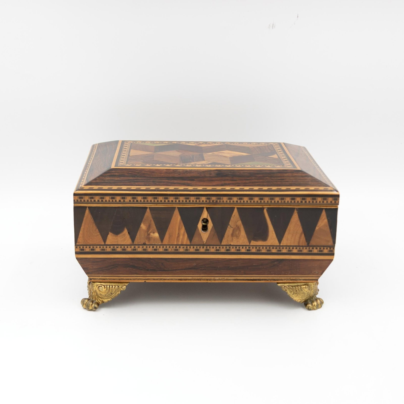 Regency Rosewood Specimen Box on Gilt Lion Paw Feet Circa 1810 - 2