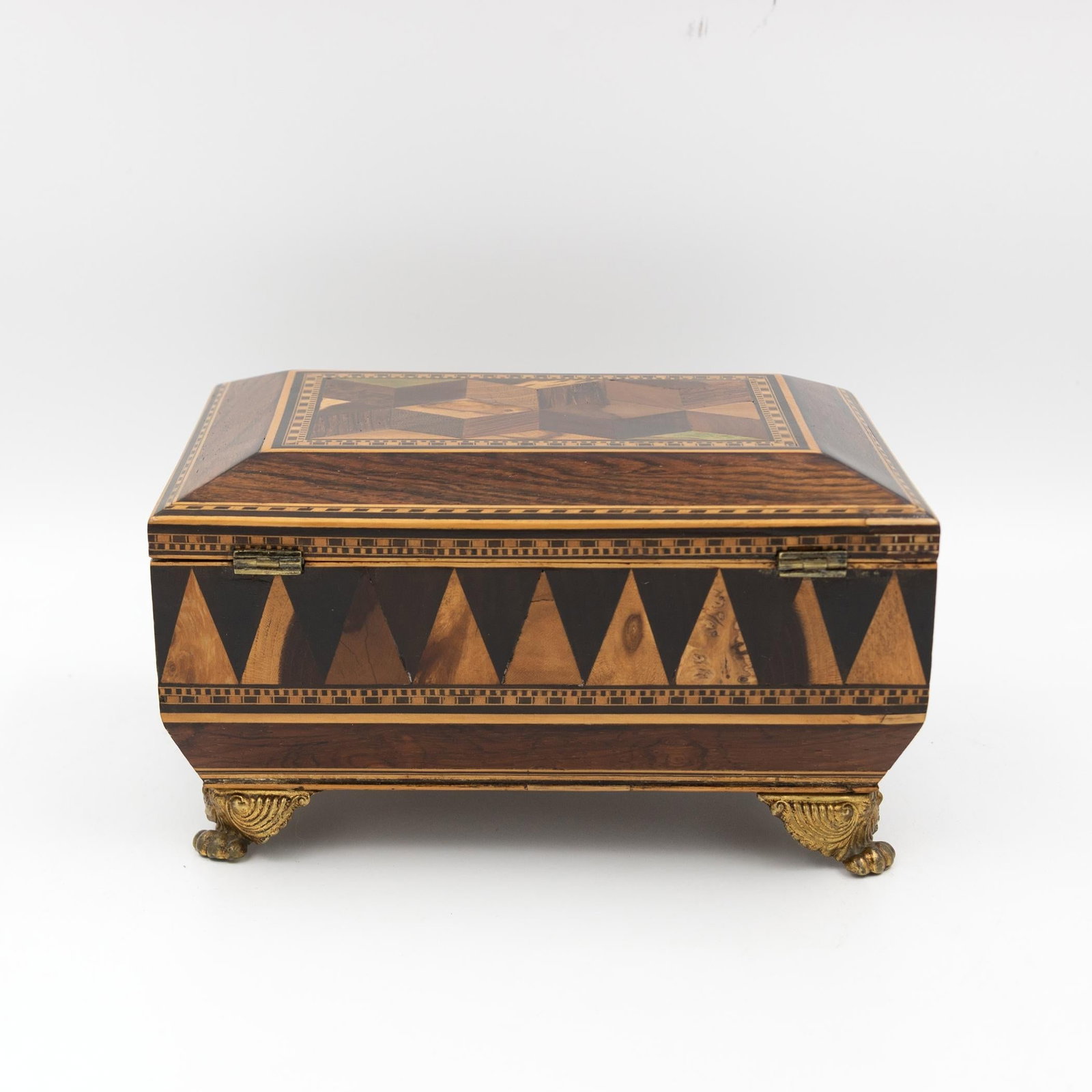 Regency Rosewood Specimen Box on Gilt Lion Paw Feet Circa 1810 - 4