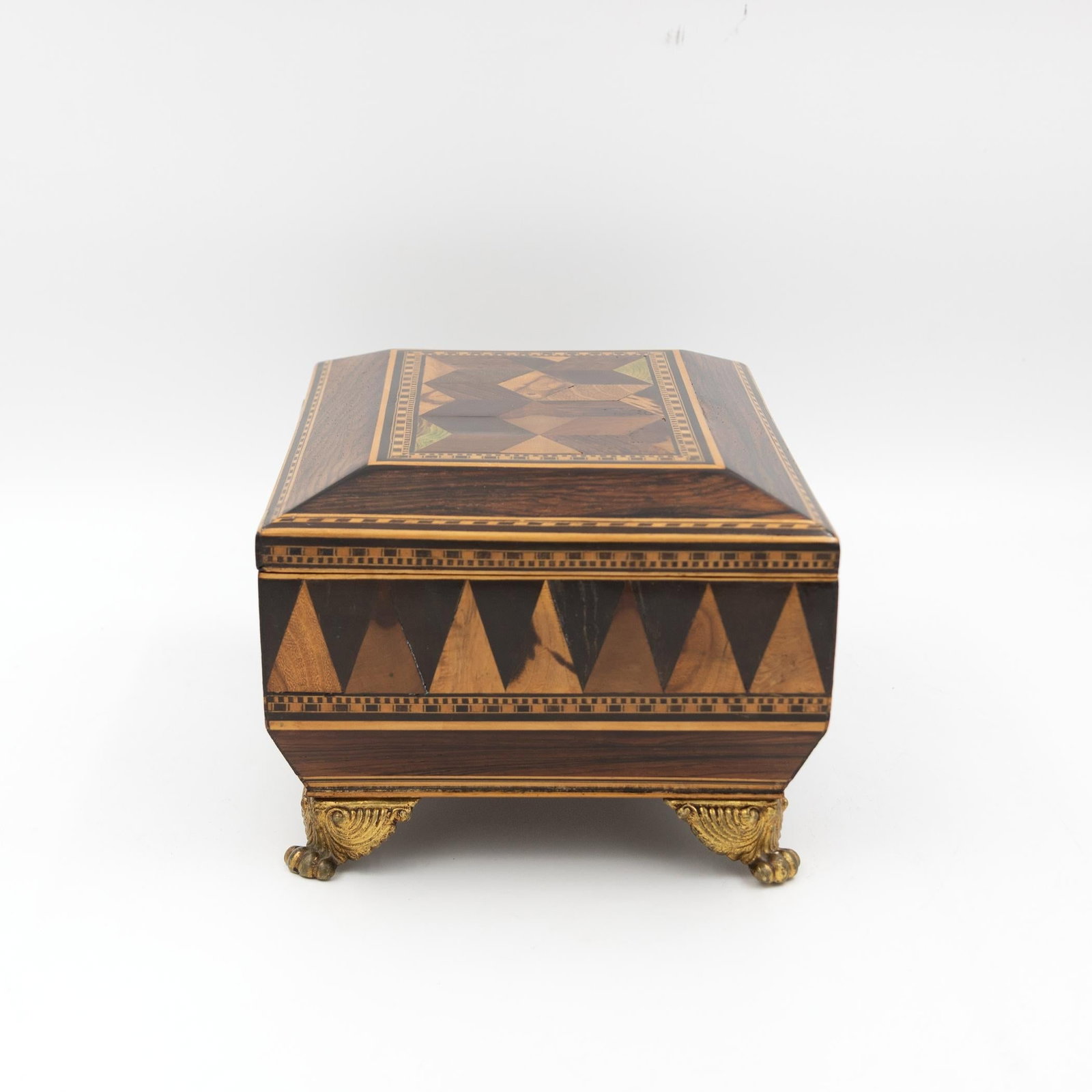 Regency Rosewood Specimen Box on Gilt Lion Paw Feet Circa 1810 - 7