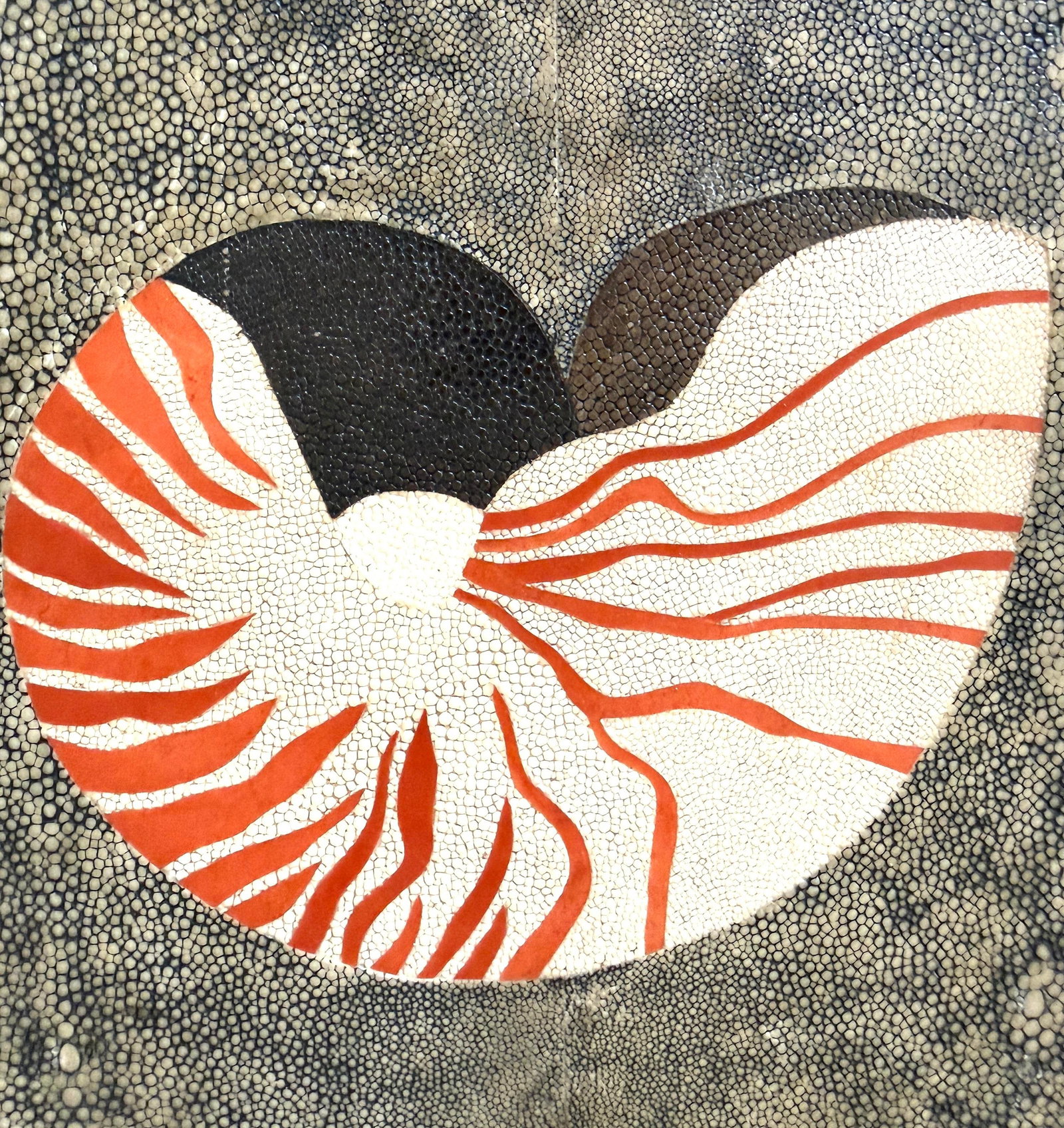 R & Y Augousti Nautilus Shell Large Tray - 10
